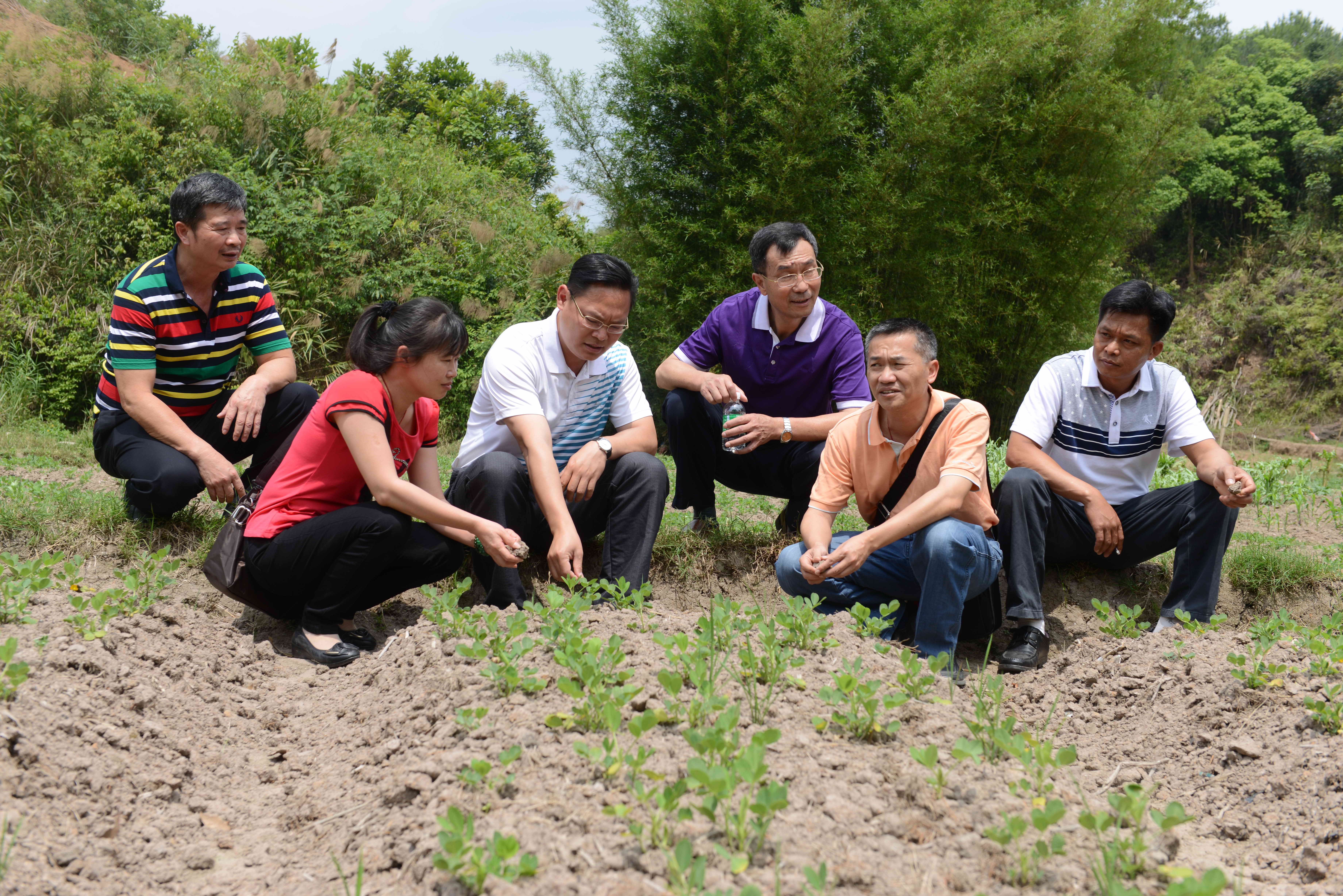 全國五一勞動獎章獲得者吳健華指導村及分析土壤