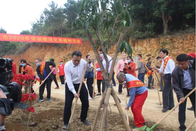 植樹(shù)造林，這群楷模這樣做