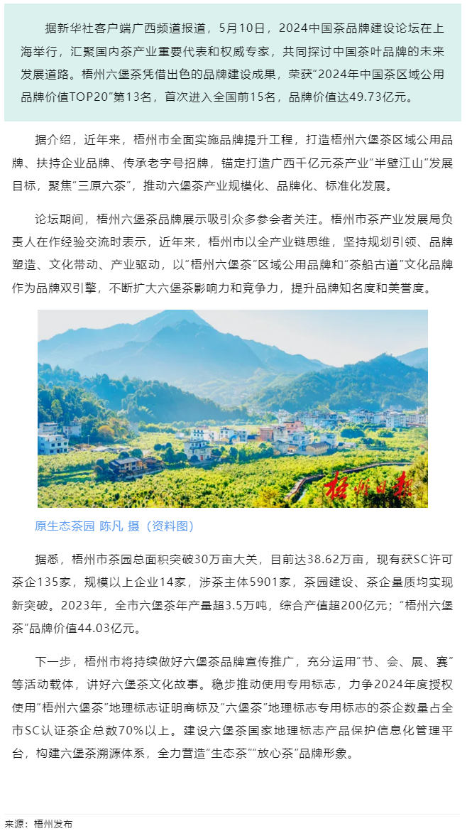 排名全國第13名！&ldquo;梧州六堡茶&rdquo;品牌價值實現(xiàn)新突破.png