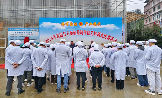 2025年蒼梧縣六堡油茶制作技藝培訓及比賽活動圓滿落幕！