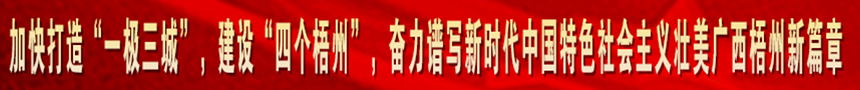 加快打造“一級(jí)三城市”，建設(shè)“四個(gè)梧州”，奮力譜寫(xiě)新時(shí)代中國(guó)特色社會(huì)主義壯美廣西梧州新篇章