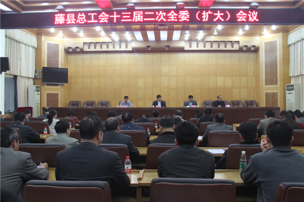 圖為藤縣總工會十三屆二次全委（擴大）會議會場  張賢武攝影.JPG