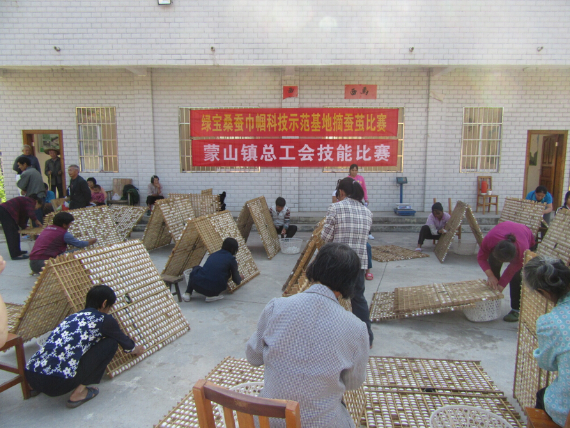 蒙山鎮(zhèn)總工會(huì)舉辦摘蠶繭比賽