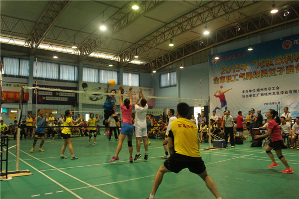 市總工會(huì)舉辦2015年“龍魚涂料杯”全市職工氣排球男女子混合比賽