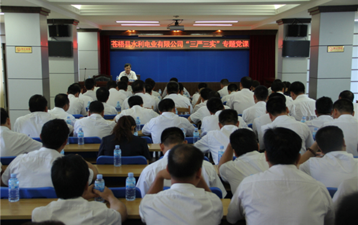 蒼梧縣水利電業(yè)有限公司開(kāi)展 “三嚴(yán)三實(shí)”專(zhuān)題教育黨課